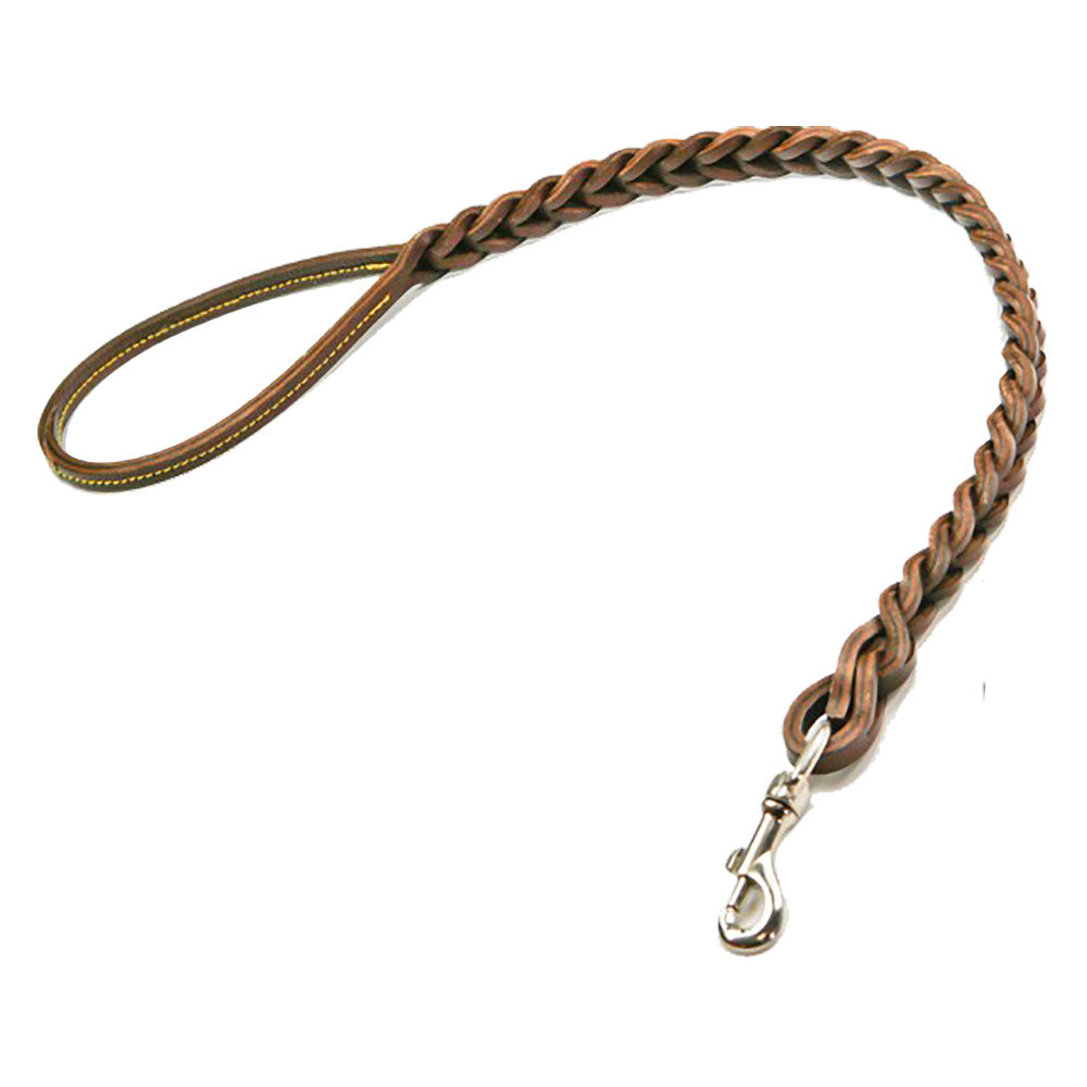 GUINZAGLIO PER CANE