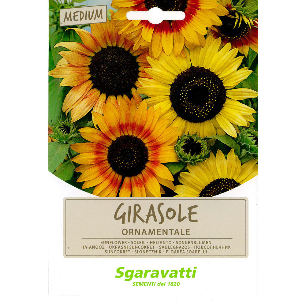 SGARAVATTI SEMI PER PRATO UNIVERSALE