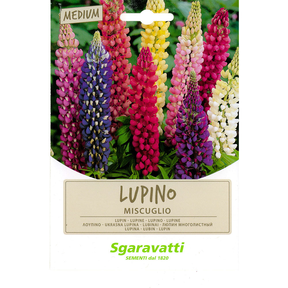 SGARAVATTI SEMI PER PRATO UNIVERSALE