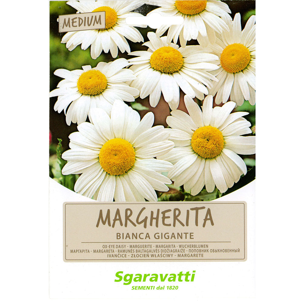 SGARAVATTI SEMI PER PRATO UNIVERSALE