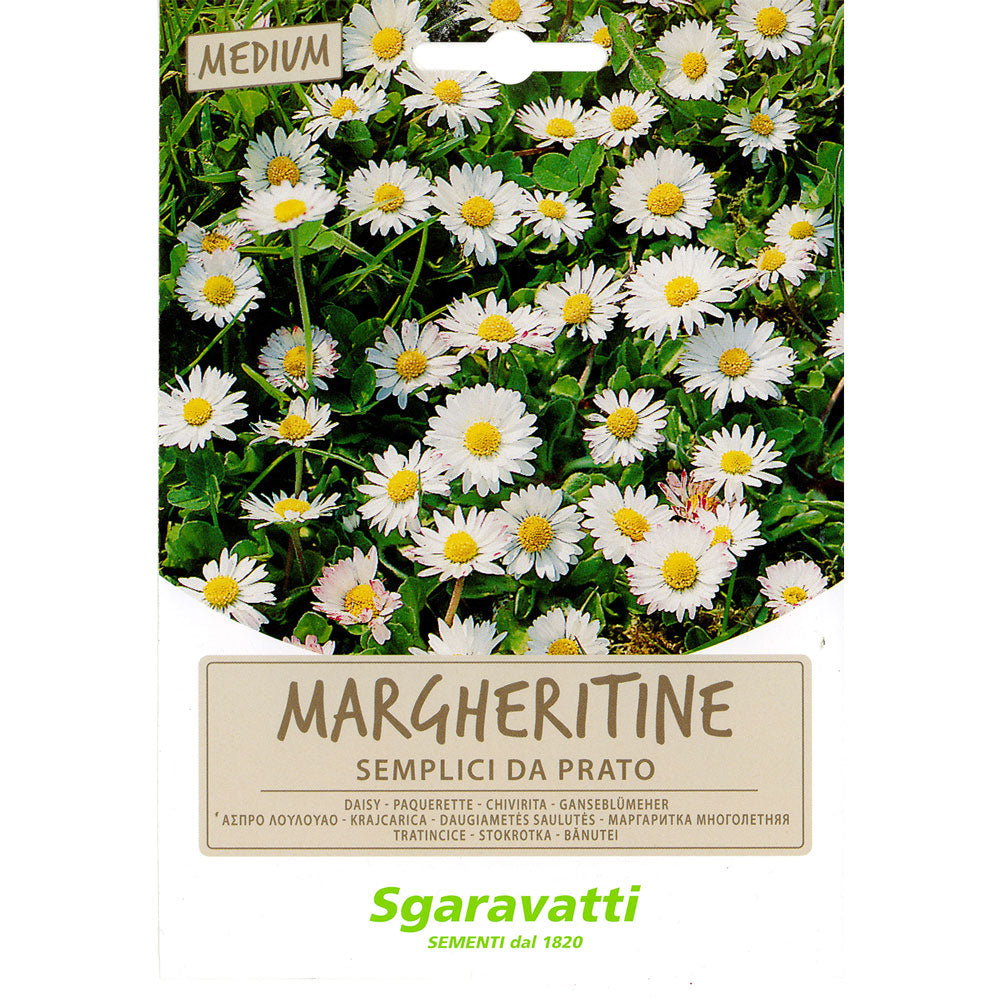 SGARAVATTI SEMI PER PRATO UNIVERSALE