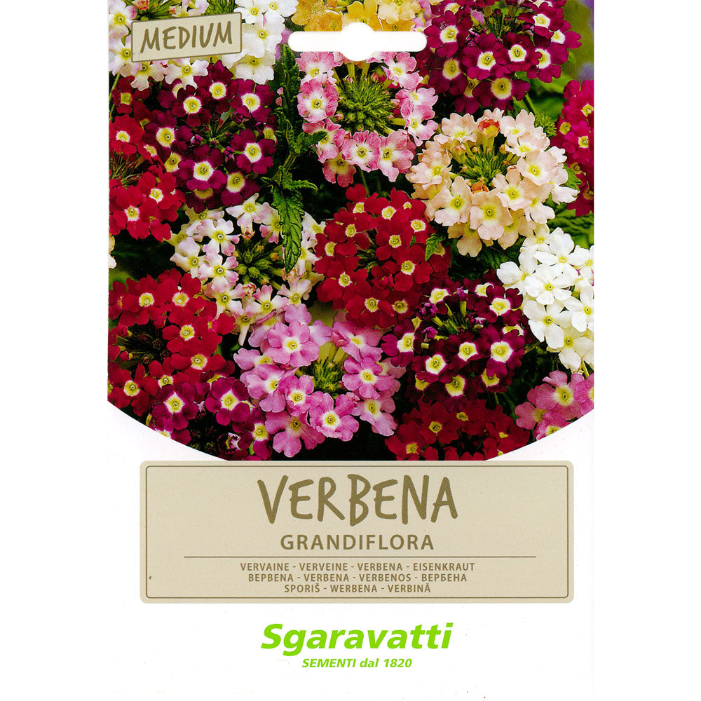 SGARAVATTI SEMI PER PRATO UNIVERSALE