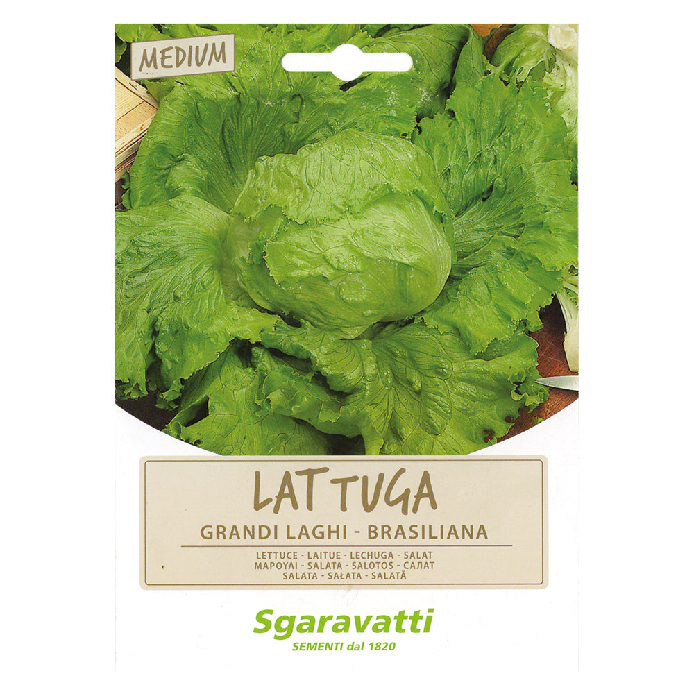 SGARAVATTI SEMI PER ORTAGGI E VEGETALI