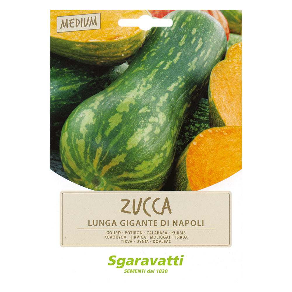 SGARAVATTI SEMI PER ORTAGGI E VEGETALI