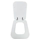 FLUXY SEDILE WC CONCA