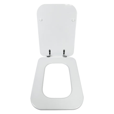 FLUXY SEDILE WC CONCA