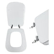 FLUXY SEDILE WC CONCA