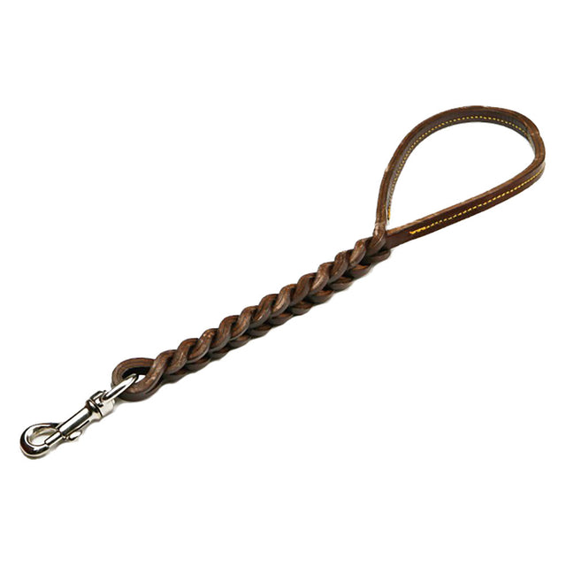 GUINZAGLIO PER CANE