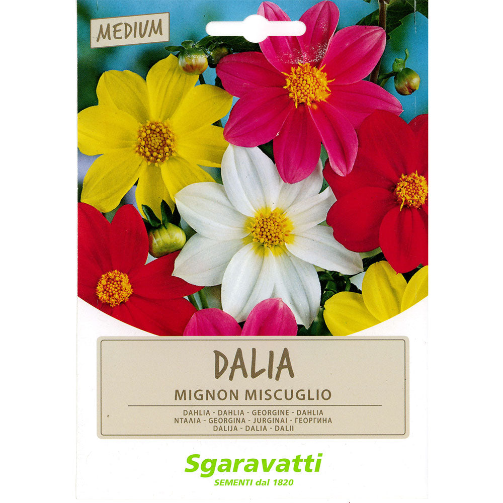 SGARAVATTI SEMI PER PRATO UNIVERSALE