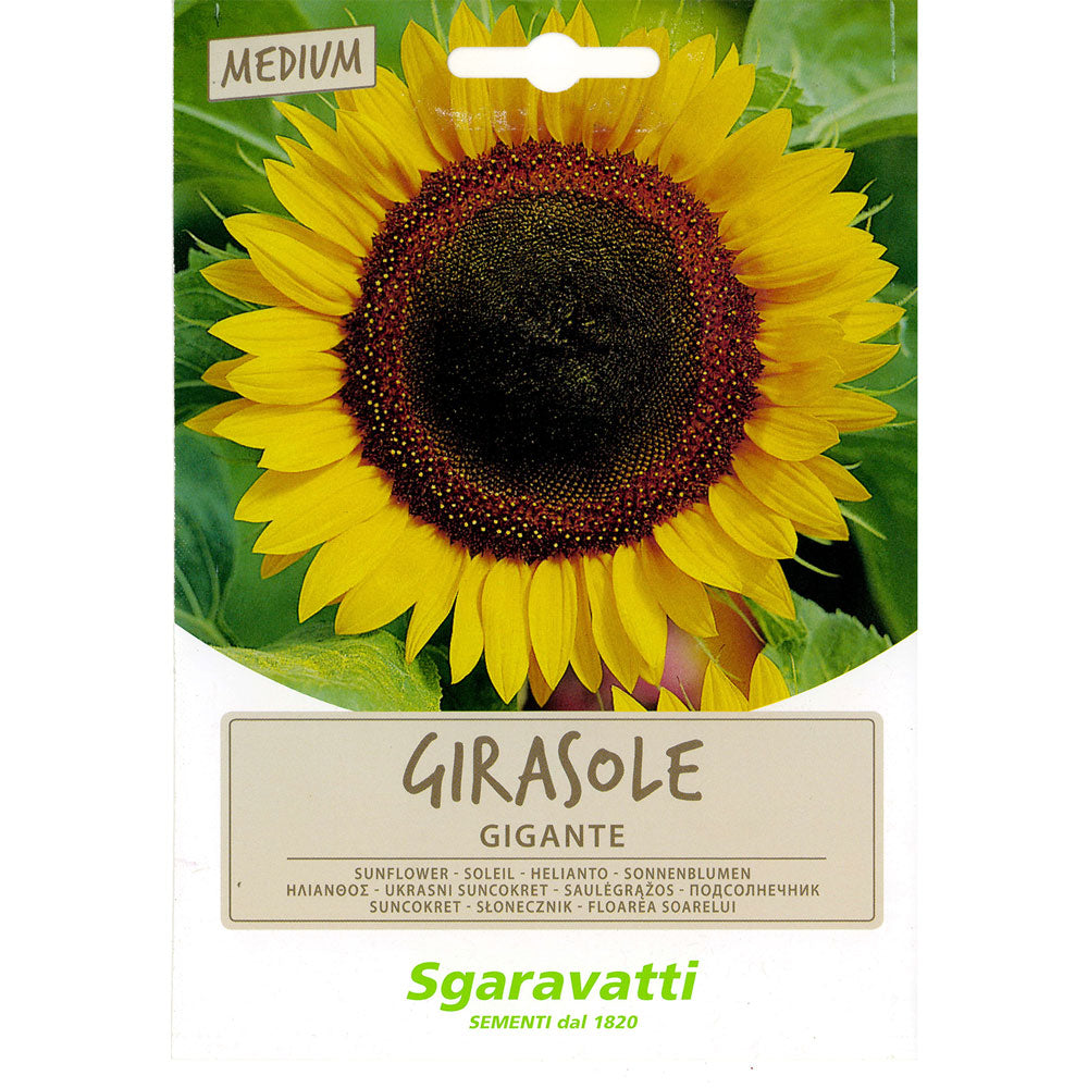 SGARAVATTI SEMI PER PRATO UNIVERSALE