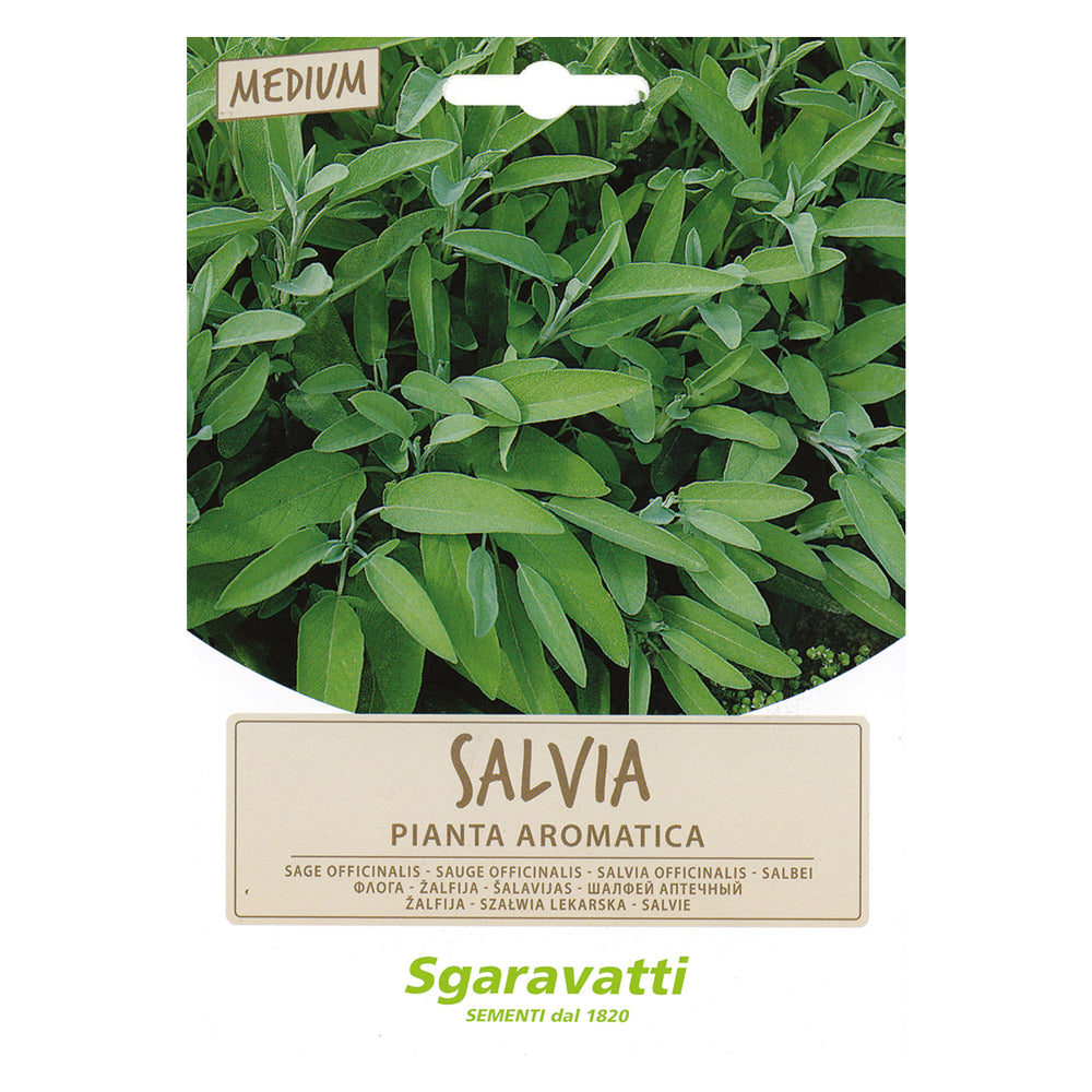 SGARAVATTI SEMI PER ORTAGGI E VEGETALI