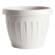 BAMA VASO TONDO