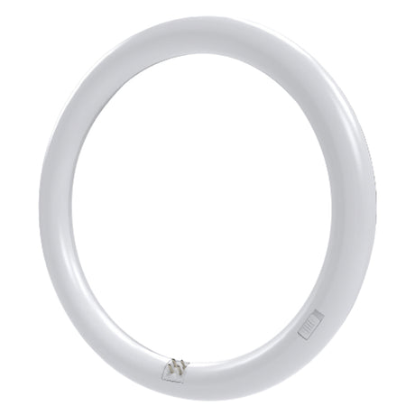 NOVAITALIA NEON CIRCOLARE T9