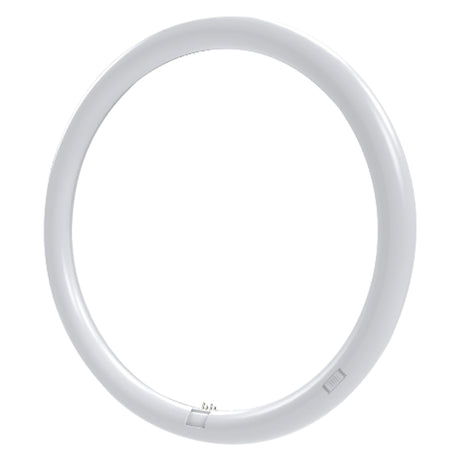 NOVAITALIA NEON CIRCOLARE T9