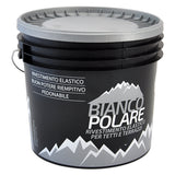 BIANCO POLARE VERNICE ACRILICA PER TETTI