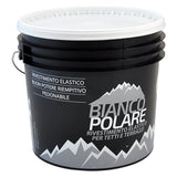 BIANCO POLARE VERNICE ACRILICA PER TETTI