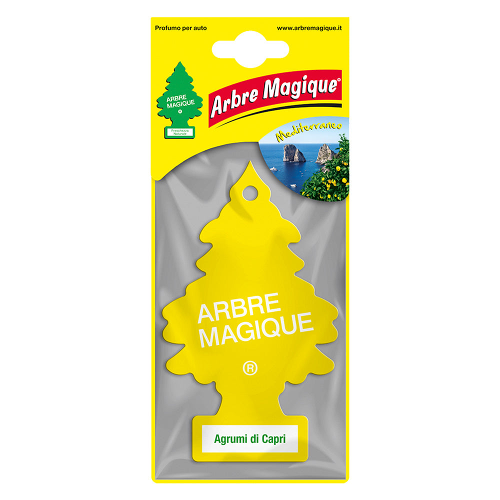 DEODORANTE AUTO 'ARBRE MAGIQUE'