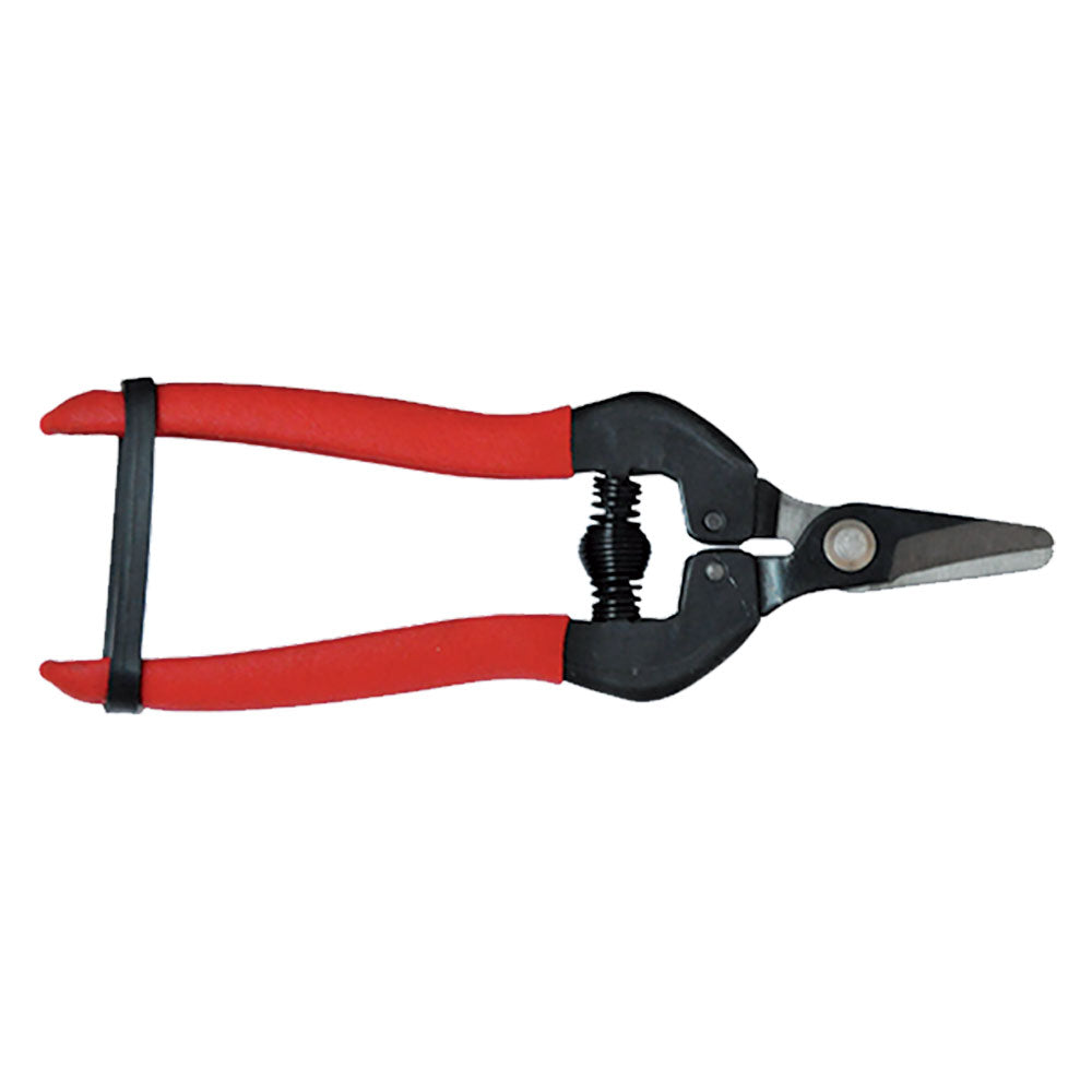 LIF FORBICI COGLIUVA cm 16