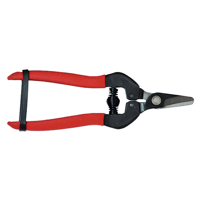 LIF FORBICI COGLIUVA cm 16