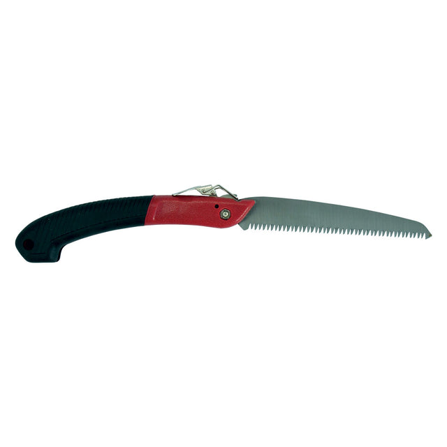 LIF SEGACCIO A SERRAMANICO cm 18