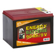 ALBERT KERBL BATTERIA PER ELETTRIFICATORE