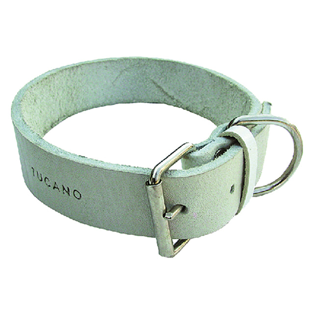 COLLARE PER CANE