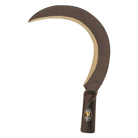 ANGELOB RONCOLA 'SCANSANO' cm 26