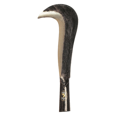 ANGELOB RONCOLA 'SULMONA' cm 28