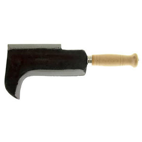 LIF PENNATO 'ANAGNI' cm 22