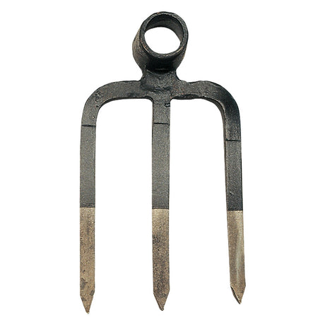 ANGELOB ZAPPA TRIDENTE ART. '01.65.' dente corto cm 23