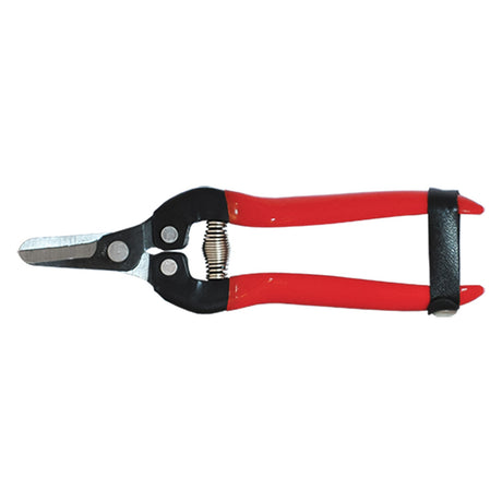 FALCI FORBICI COGLIUVA cm. 19