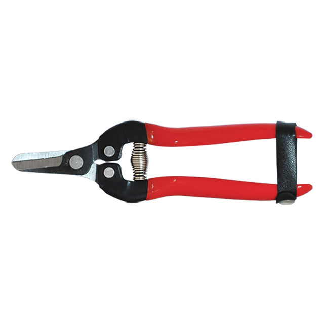 FALCI FORBICI COGLIUVA cm. 19