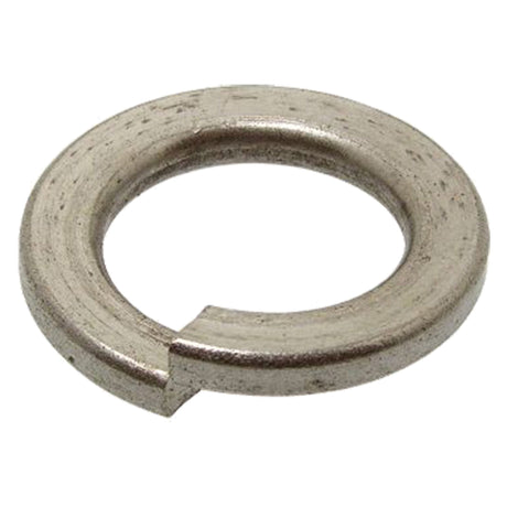 Blister Koncreto RONDELLA ELASTICA GROWER