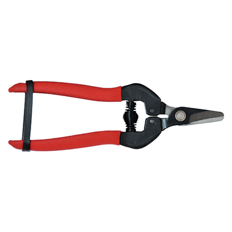 Blister Koncreto FORBICI COGLIUVA cm 16 - pz. 1