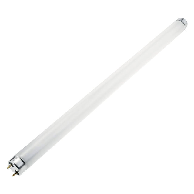 KASART LAMPADA NEON