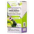 IN VERDE EROGATORE DI FEROMONE PER CIMICE ASIATICA in kit