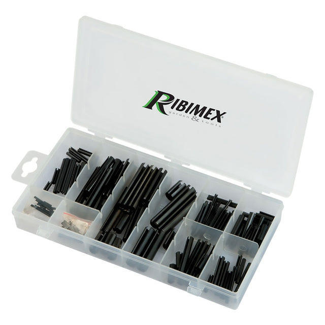 RIBIMEX SPINE ELASTICHE 120 pezzi assortiti